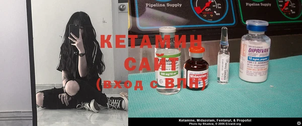 крисы Баксан