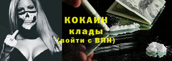 крисы Баксан