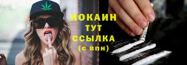крисы Баксан