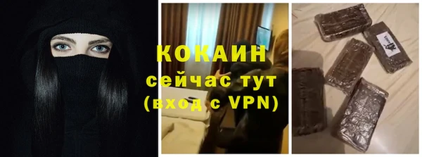 крисы Баксан