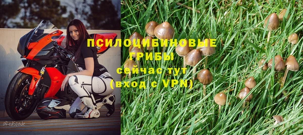 дурь Балабаново