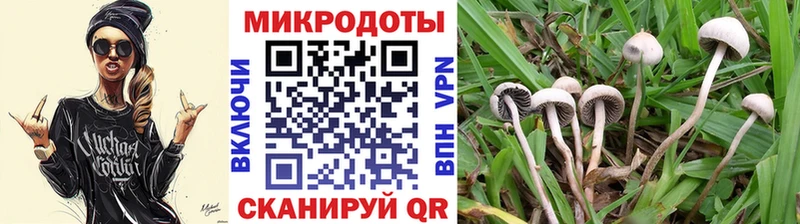 Галлюциногенные грибы ЛСД  Ясный 